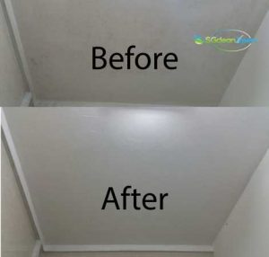 Before & After Mold Cleaning