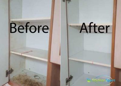 Before & After Cabinet Cleaning