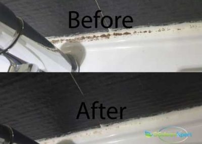 Before & After Mold Cleaning