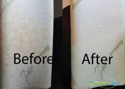 Before And After Pillow Cleaning