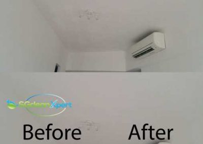 Before And After Clean Ceiling Mold Cleaning