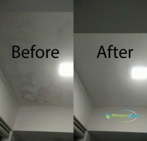 Before And After Ceiling Mold cleaning