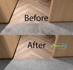 Before And After Carpet Cleaning