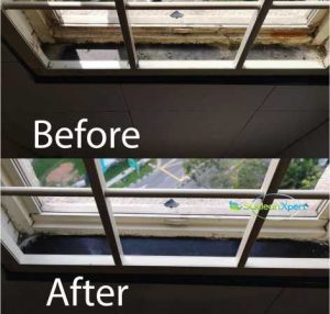 Before And After Mold Cleaning