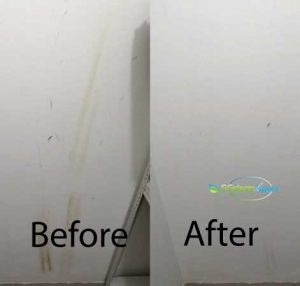 Before And After Mold Cleaning