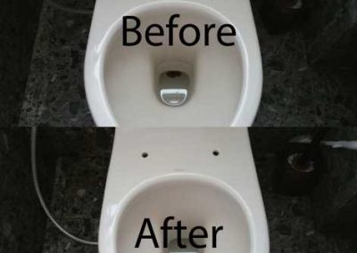 Before and after toilet cleaning