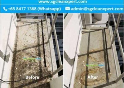 Aircon Ledge Cleaning - Pigeon Droppings & Bird Poop Cleaning