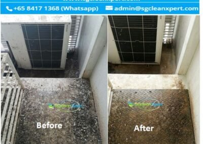 Aircon Ledge Cleaning - Pigeon poop & Bird Droppings Cleaning