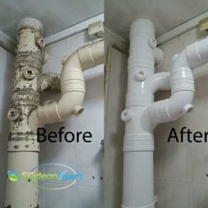 Before And After Mold Cleaning