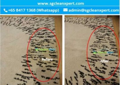 Best Rug Cleaning Singapore