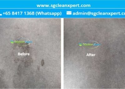 Carpet Stain and Odor Removal