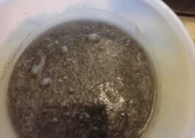 Dirts and Dust Mites Extracted from Professional Carpet Cleaning Singapore