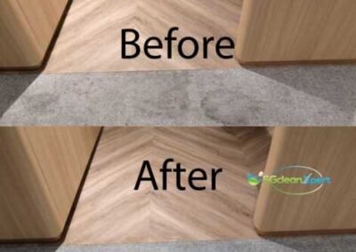 Professional Capet Cleaning Services