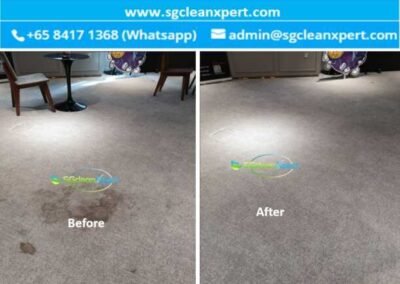 Professional Carpet Cleaning Singapore